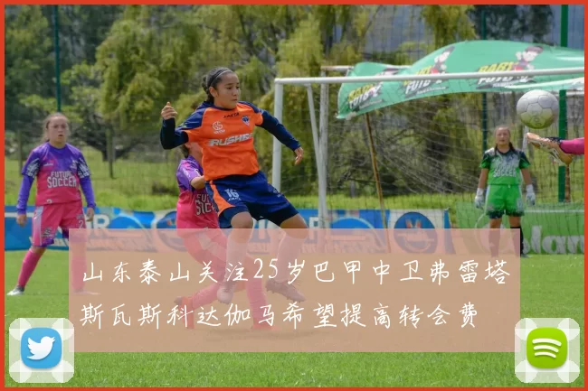 山东泰山关注25岁巴甲中卫弗雷塔斯瓦斯科达伽马希望提高转会费